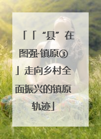 「“县”在图强·镇原③」走向乡村全面振兴的镇原轨迹