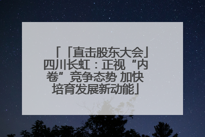 「直击股东大会」四川长虹：正视“内卷”竞争态势 加快培育发展新动能