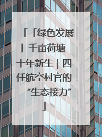 「绿色发展」千亩荷塘 十年新生｜四任航空村官的“生态接力”