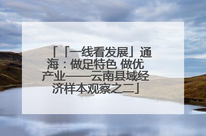 「一线看发展」通海：做足特色 做优产业——云南县域经济样本观察之二