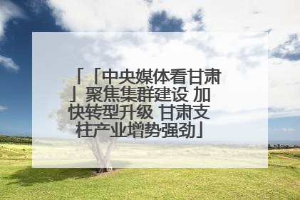 「中央媒体看甘肃」聚焦集群建设 加快转型升级 甘肃支柱产业增势强劲
