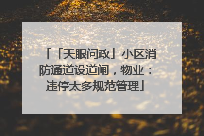 「天眼问政」小区消防通道设道闸，物业：违停太多规范管理