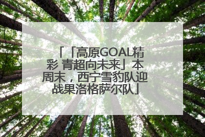 「高原GOAL精彩 青超向未来」本周末，西宁雪豹队迎战果洛格萨尔队
