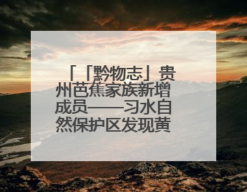 「黔物志」贵州芭蕉家族新增成员——习水自然保护区发现黄苞芭蕉