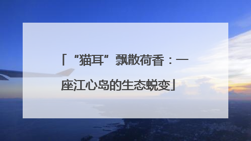 “猫耳”飘散荷香：一座江心岛的生态蜕变