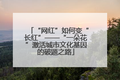 “网红”如何变“长红”——“一朵花”激活城市文化基因的破题之路