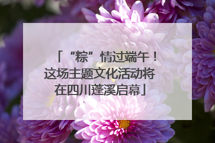 “粽”情过端午！这场主题文化活动将在四川蓬溪启幕