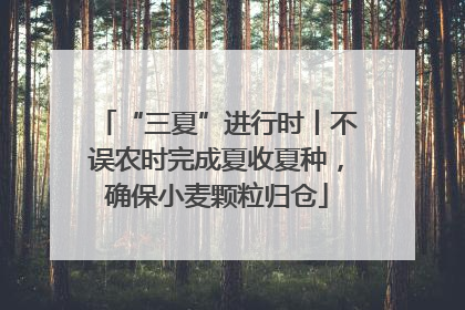 “三夏”进行时丨不误农时完成夏收夏种，确保小麦颗粒归仓