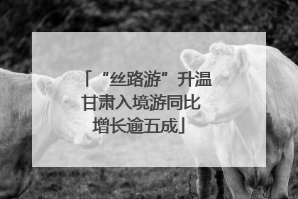 “丝路游”升温 甘肃入境游同比增长逾五成