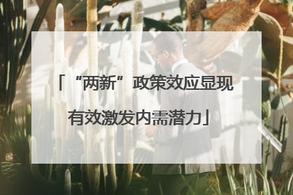 “两新”政策效应显现 有效激发内需潜力