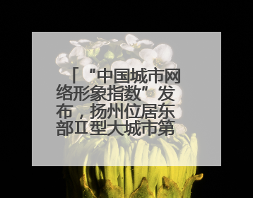 “中国城市网络形象指数”发布，扬州位居东部Ⅱ型大城市第一，城市生活形象亮眼