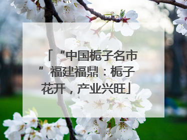 “中国栀子名市”福建福鼎：栀子花开，产业兴旺
