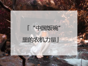 “中国饭碗”里的农机力量