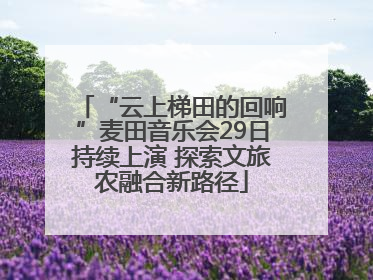 “云上梯田的回响”麦田音乐会29日持续上演 探索文旅农融合新路径