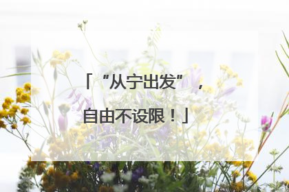 “从宁出发”，自由不设限！