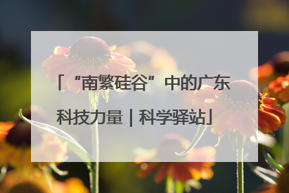 “南繁硅谷”中的广东科技力量｜科学驿站