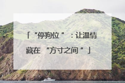 “停狗位 ”：让温情藏在 “方寸之间 ”