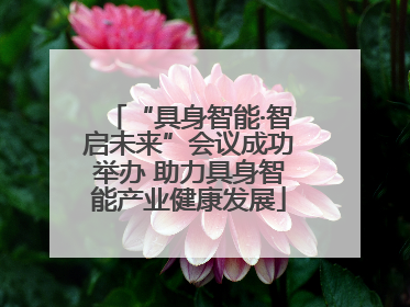 “具身智能·智启未来”会议成功举办 助力具身智能产业健康发展
