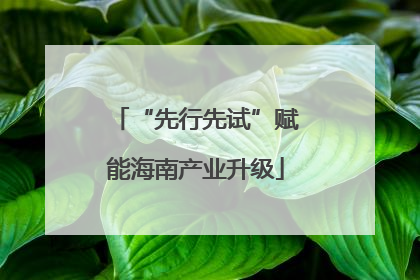 “先行先试”赋能海南产业升级