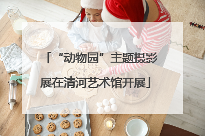 “动物园”主题摄影展在清河艺术馆开展