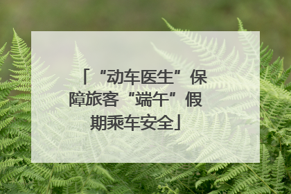 “动车医生”保障旅客“端午”假期乘车安全