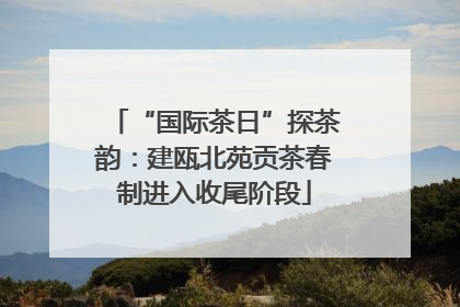 “国际茶日”探茶韵：建瓯北苑贡茶春制进入收尾阶段