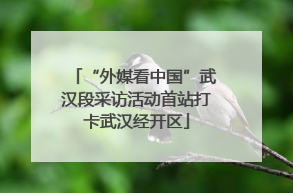 “外媒看中国”武汉段采访活动首站打卡武汉经开区