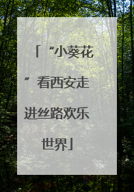 “小葵花”看西安走进丝路欢乐世界
