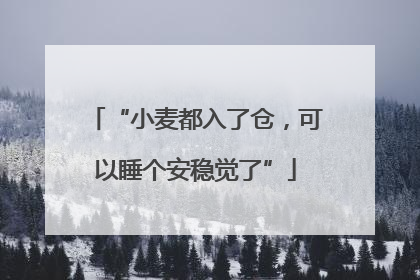 “小麦都入了仓，可以睡个安稳觉了”
