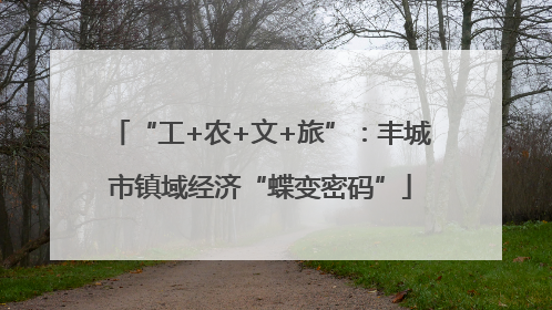 “工+农+文+旅”：丰城市镇域经济“蝶变密码”