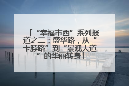 “幸福市西”系列报道之二：盛华路，从“卡脖路”到“景观大道”的华丽转身