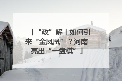 “政”解丨如何引来“金凤凰”？河南亮出“一盘棋”