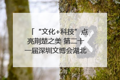 “文化+科技”点亮荆楚之美 第二十一届深圳文博会湖北馆抢“鲜”看