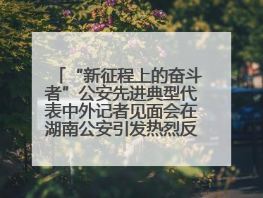 “新征程上的奋斗者”公安先进典型代表中外记者见面会在湖南公安引发热烈反响(二)