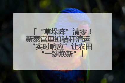 “草垛阵”清零！新泰宫里镇秸秆清运“实时响应”让农田“一键焕新”