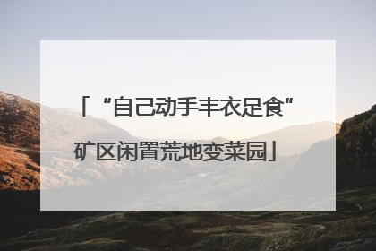 “自己动手丰衣足食”矿区闲置荒地变菜园