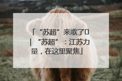 “苏超”来歌了⑪｜“苏超”：江苏力量，在这里聚焦