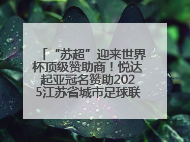 “苏超”迎来世界杯顶级赞助商！悦达起亚冠名赞助2025江苏省城市足球联赛盐城赛区