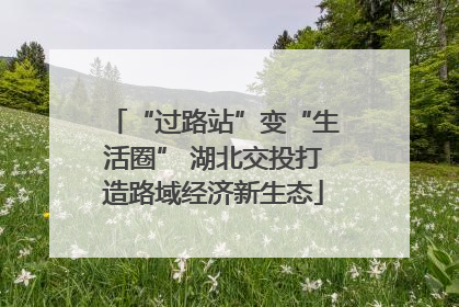 “过路站”变“生活圈” 湖北交投打造路域经济新生态