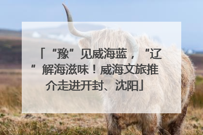 “豫”见威海蓝，“辽”解海滋味！威海文旅推介走进开封、沈阳