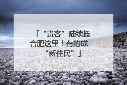 “贵客”陆续抵合肥这里！有的成“新住民”