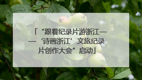 “跟着纪录片游浙江——‘诗画浙江’文旅纪录片创作大会”启动