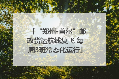 “郑州-首尔”邮政货运航线复飞 每周3班常态化运行