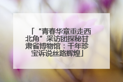 “青春华章重走西北角”采访团探秘甘肃省博物馆：千年珍宝诉说丝路辉煌