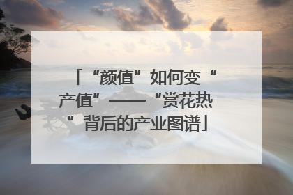 “颜值”如何变“产值”——“赏花热”背后的产业图谱