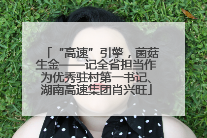“高速”引擎，菌菇生金——记全省担当作为优秀驻村第一书记、湖南高速集团肖兴旺