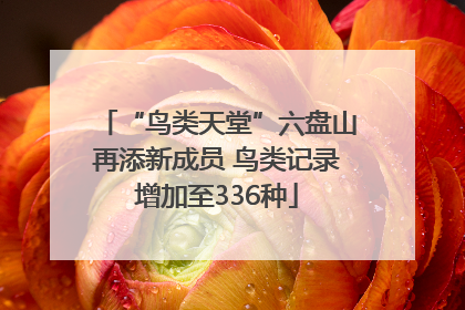 “鸟类天堂”六盘山再添新成员 鸟类记录增加至336种
