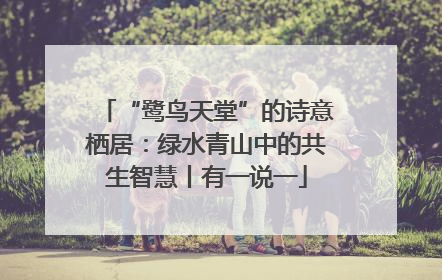 “鹭鸟天堂”的诗意栖居：绿水青山中的共生智慧丨有一说一