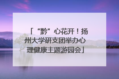 “黔”心花开！扬州大学研支团举办心理健康主题游园会