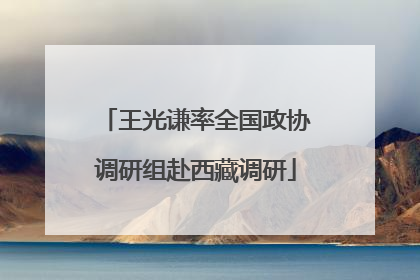 王光谦率全国政协调研组赴西藏调研